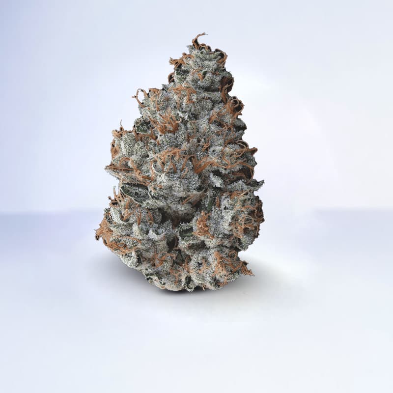 motor breath strain