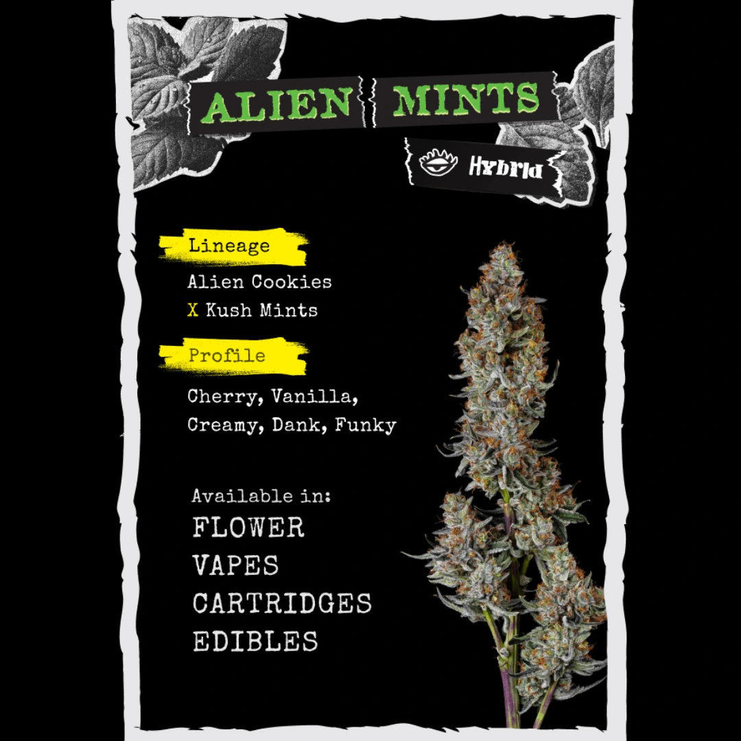 Strane Alien Mints flower strain with lineage and terpene profile