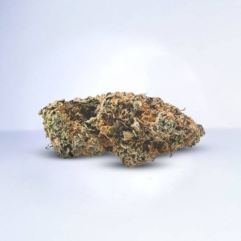 lemon dosidos flower