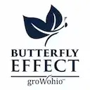 butterfly-effect