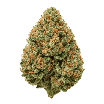 Flowers category