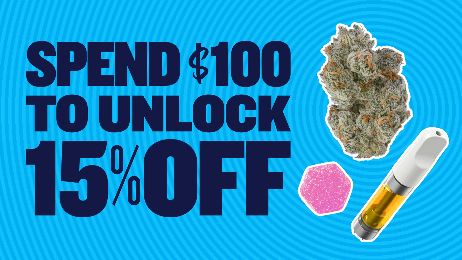 15% OFF WHEN YOU SPEND $100