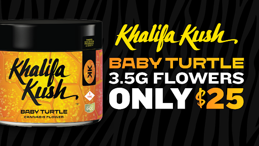 $25 BABY TURTLE 3.54G