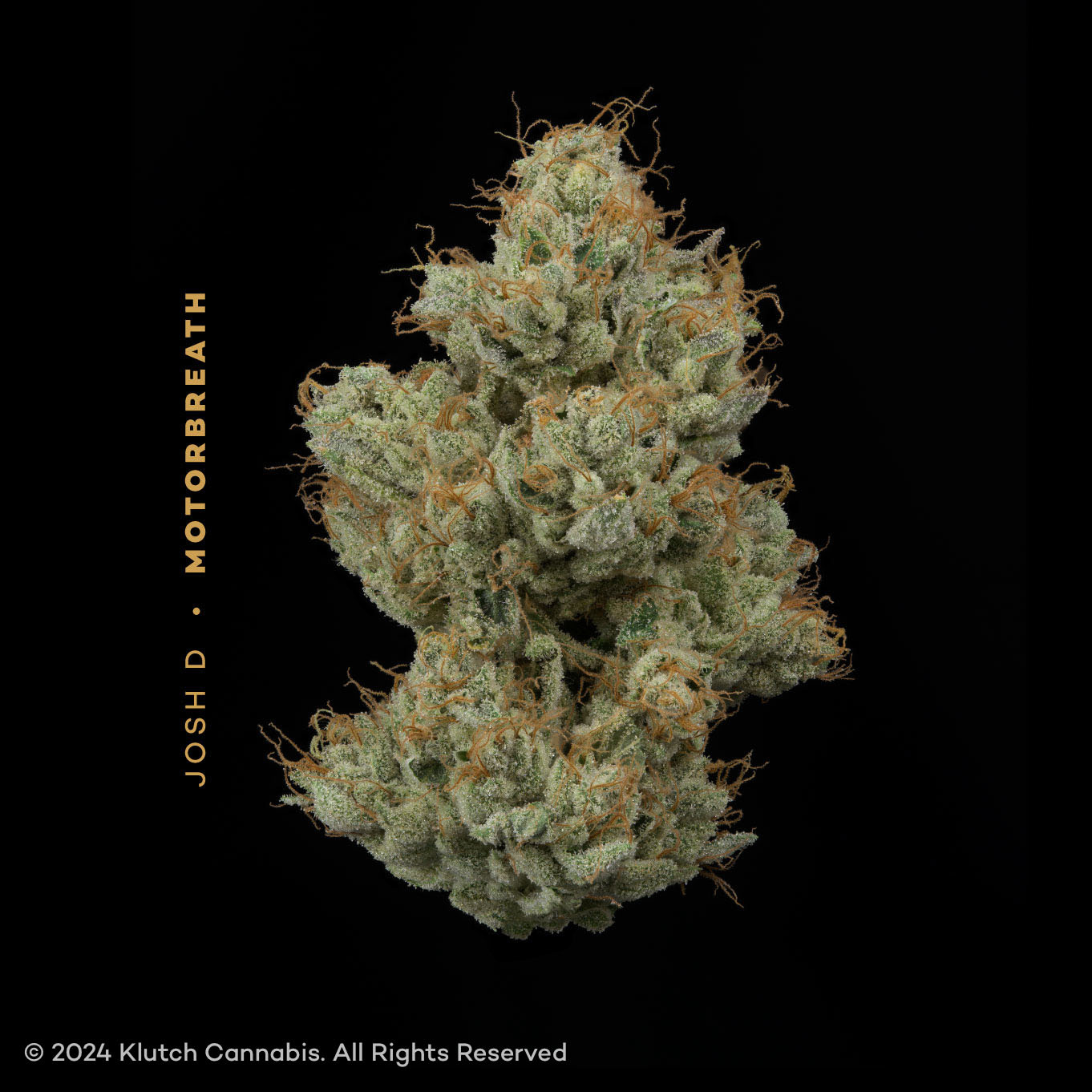 Motorbreath - 2.83g Whole Buds - Indica thumbnail 2