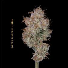 Rs11 - 14.15g Whole Buds - Hybrid thumbnail 2