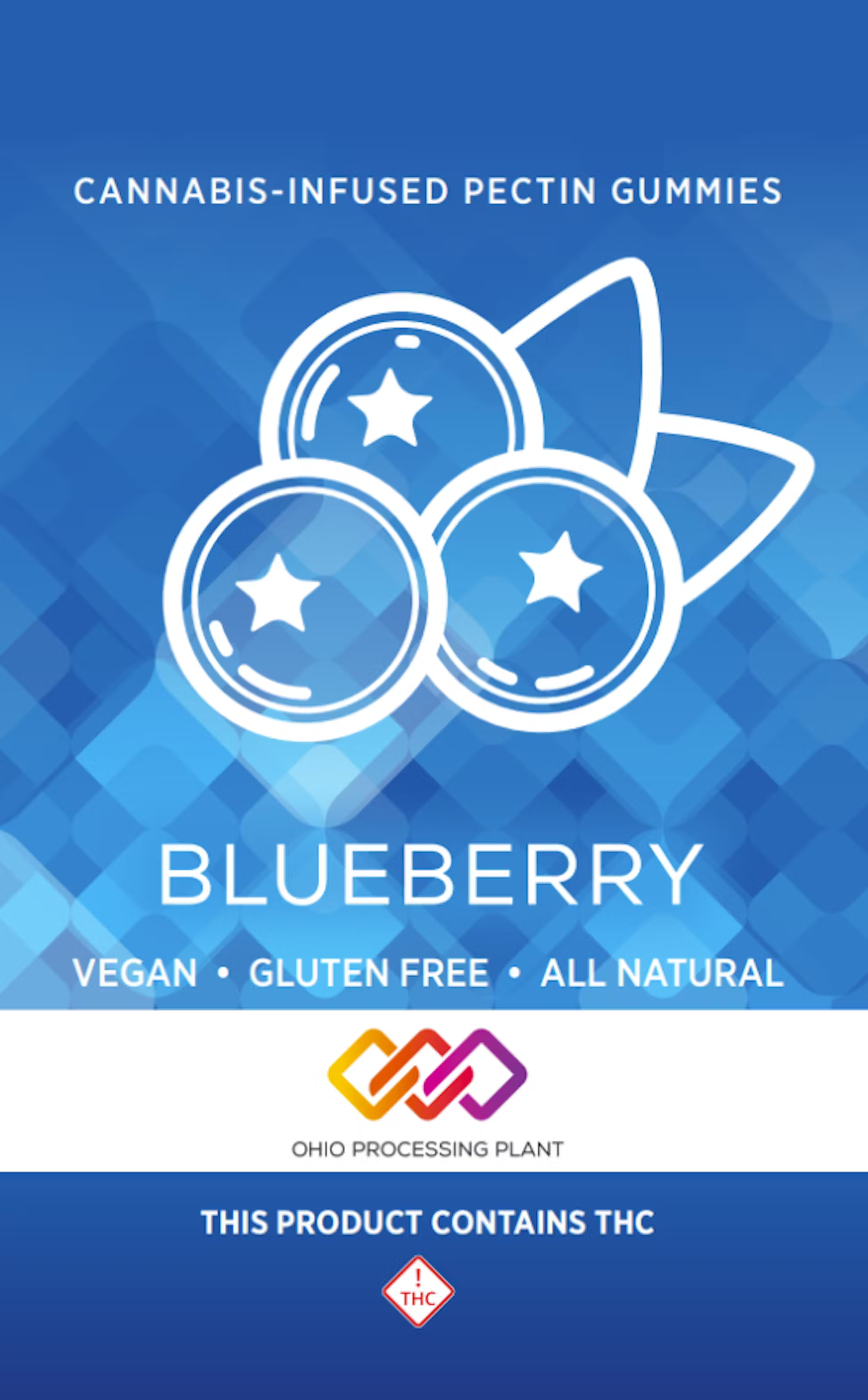 Blueberry - 220mg Candies - 10pk thumbnail 2