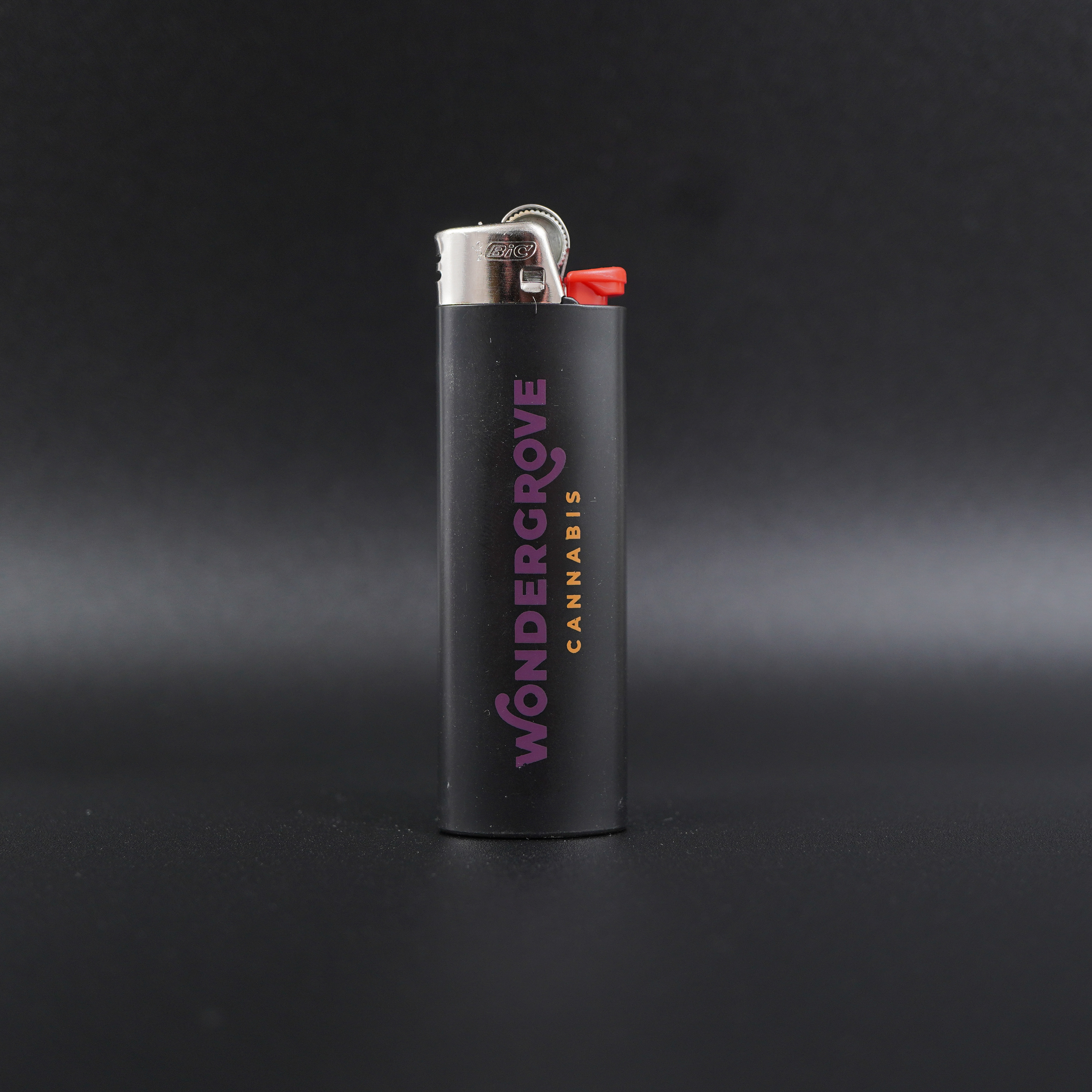 Bic Lighter