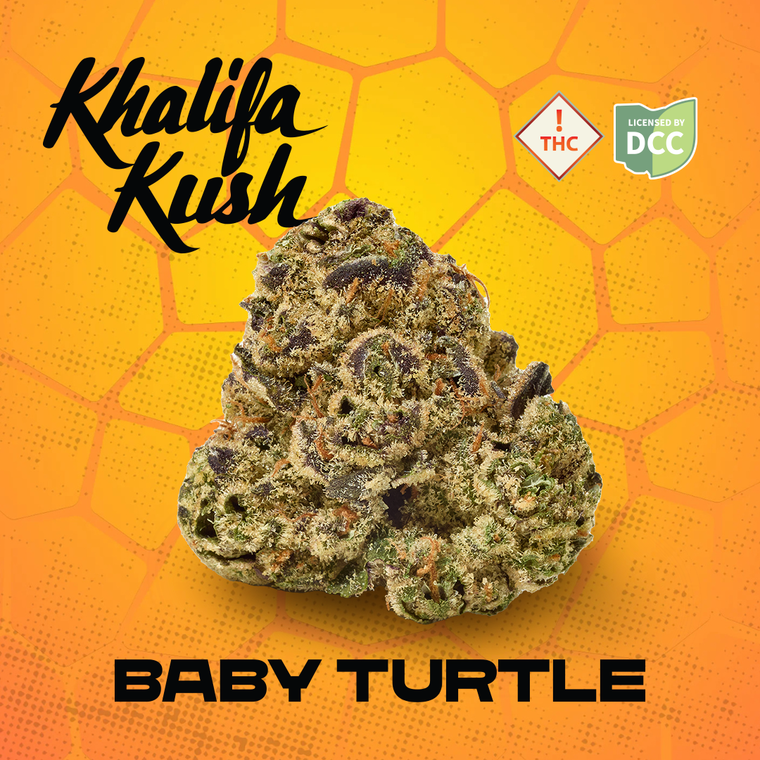 Baby Turtle - 3.54g Whole Buds - Hybrid thumbnail 2