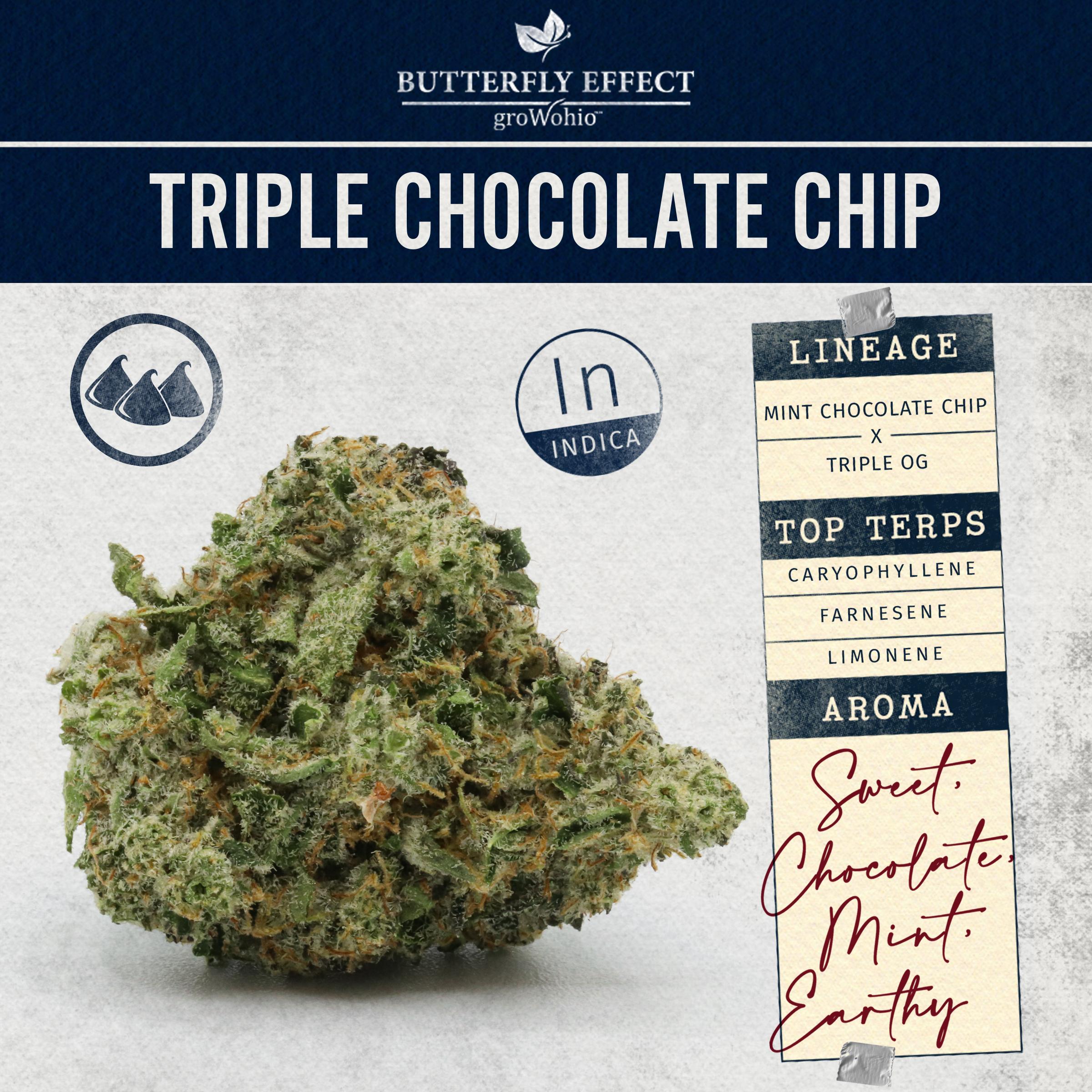 Triple Chocolate Chip - 14.15g Whole Buds - Indica thumbnail 2