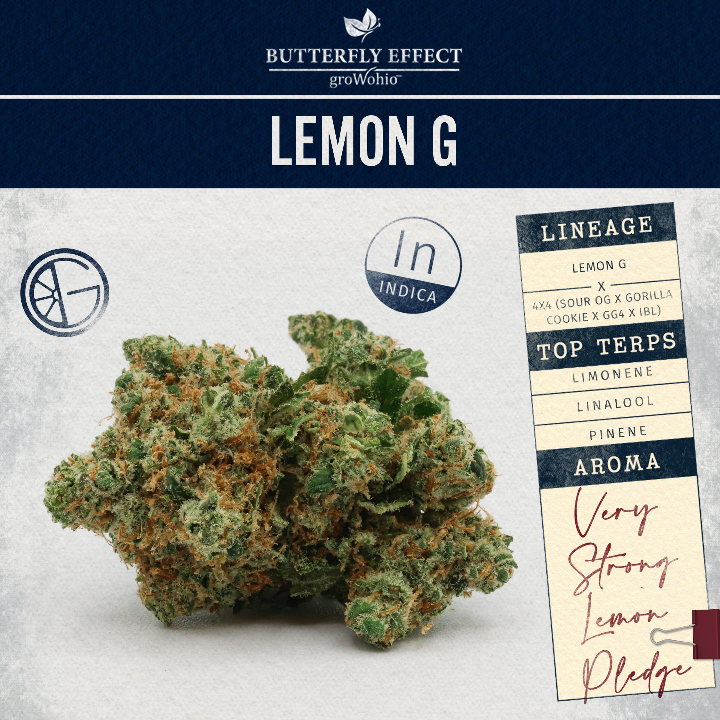 Lemon G - 14.15g Whole Buds - Sativa thumbnail 2