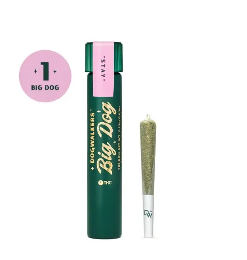 Afternoon Delight #4 - 0.75g Single - Hybrid thumbnail 3
