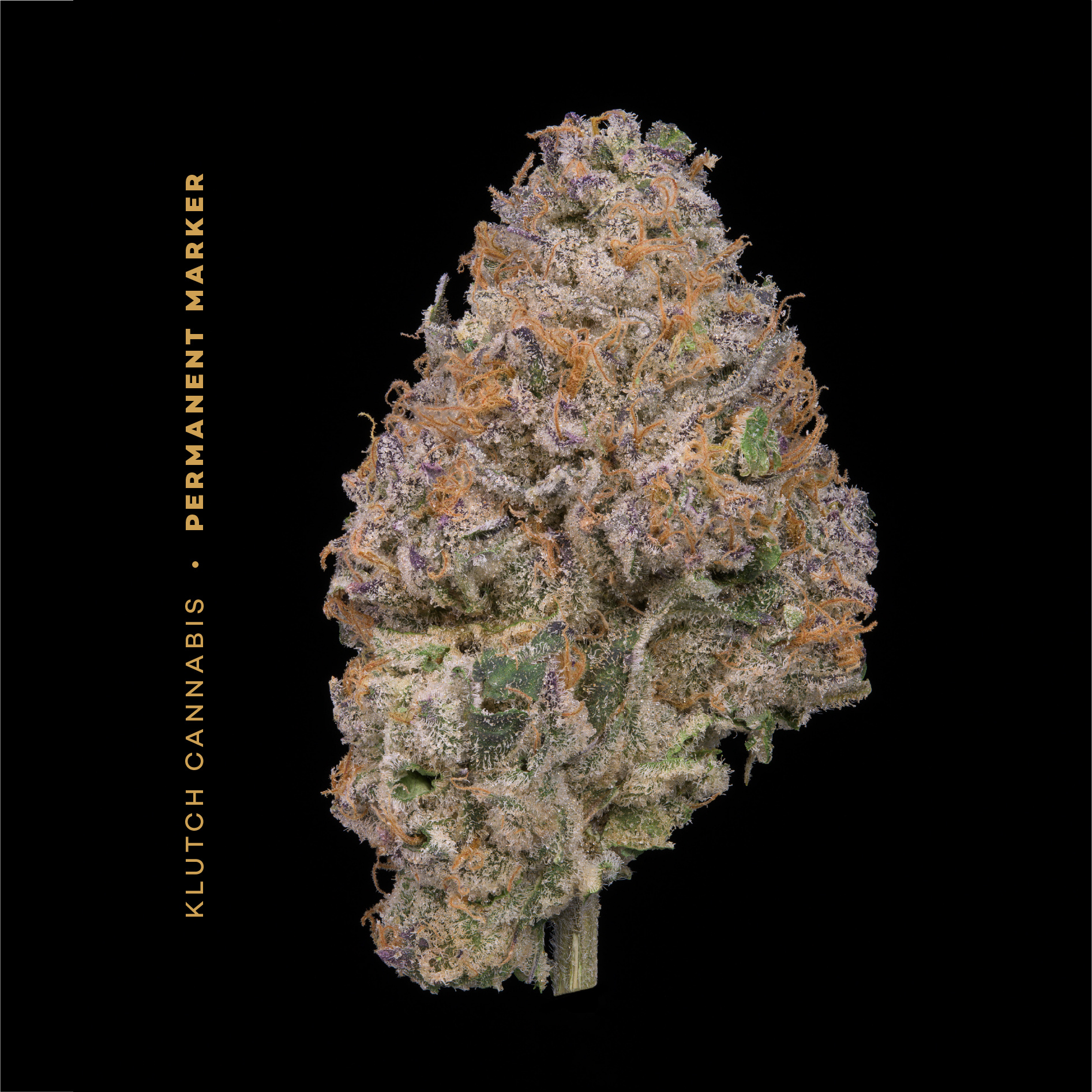 Permanent Marker - 2.83g Whole Buds - Indica thumbnail 2