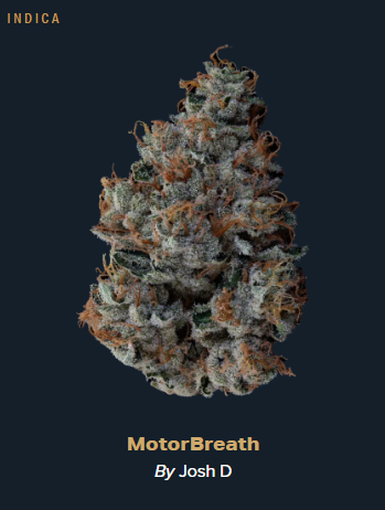 Motorbreath - 3.54g Whole Buds - Indica thumbnail 2