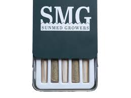 Banana Puddintain - 2.5g Packs - Hybrid - 5pk thumbnail 2