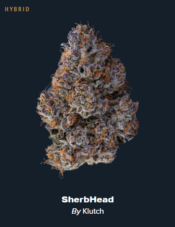Sherbhead - 14.15g Whole Buds - Hybrid thumbnail 2