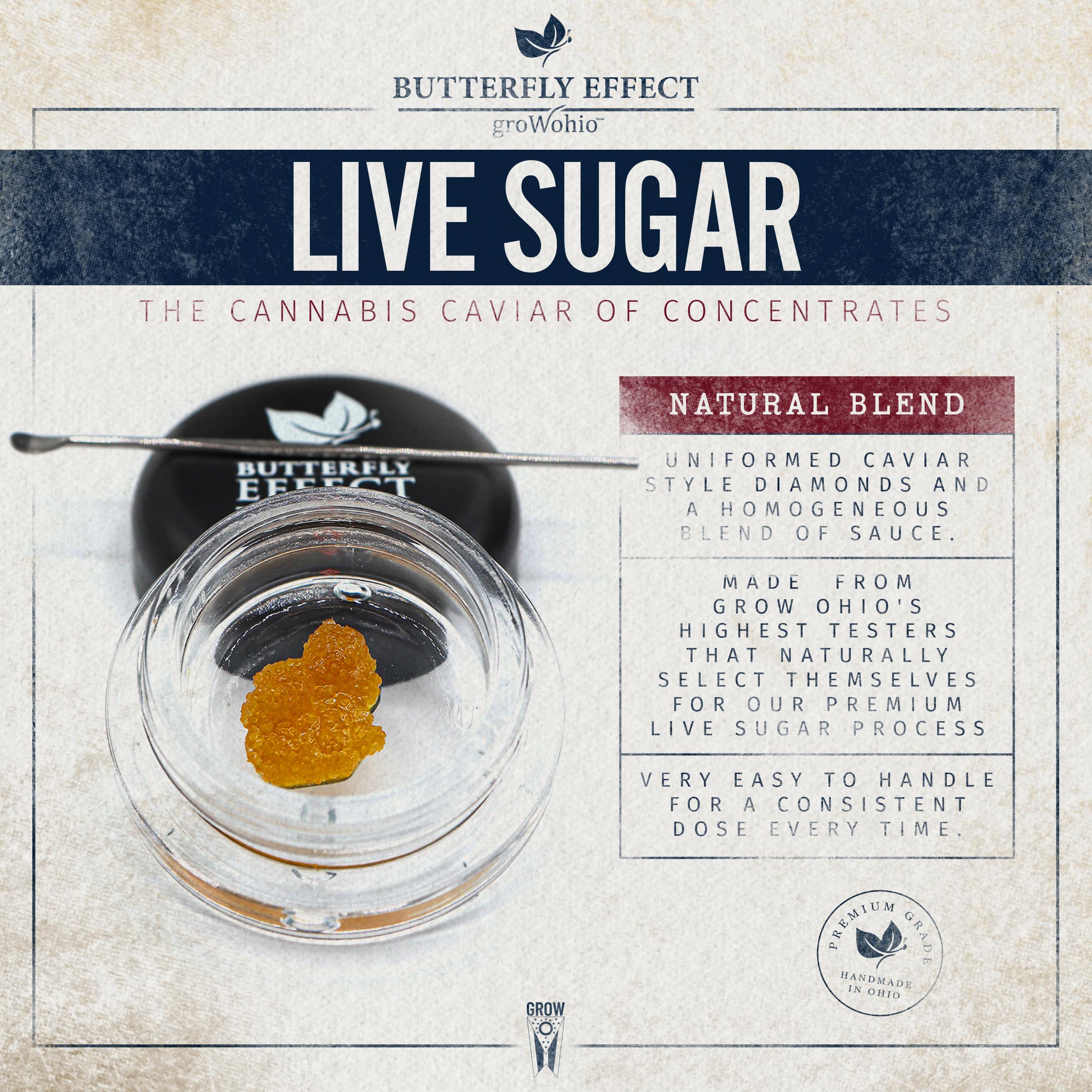 Triple Chocolate Chip - 0.85g Live Sugar - Indica thumbnail 2