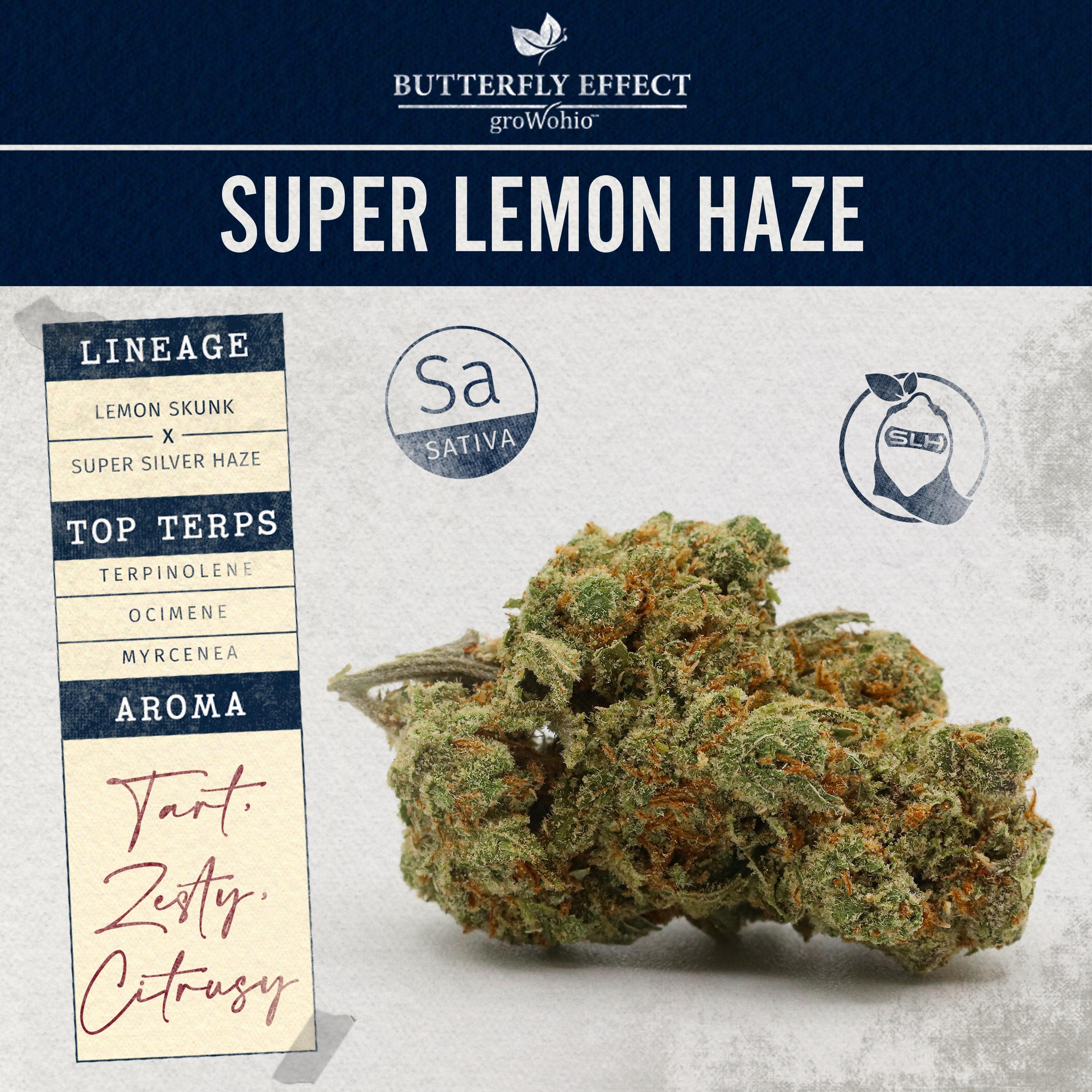 Super Lemon Haze - 14.15g Whole Buds - Sativa thumbnail 2