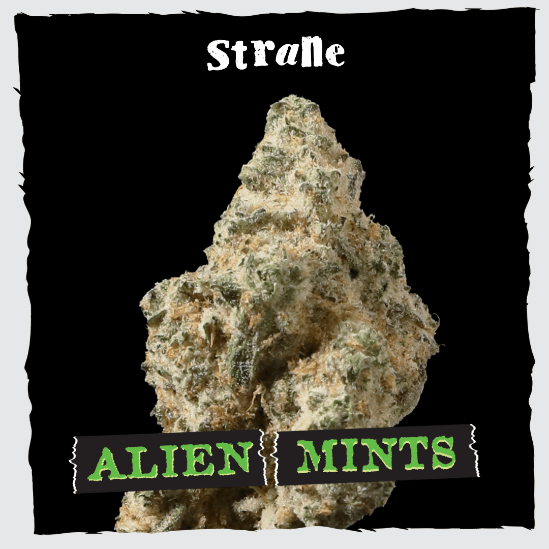 Alien Mints - 7g Whole Buds - Hybrid thumbnail 2