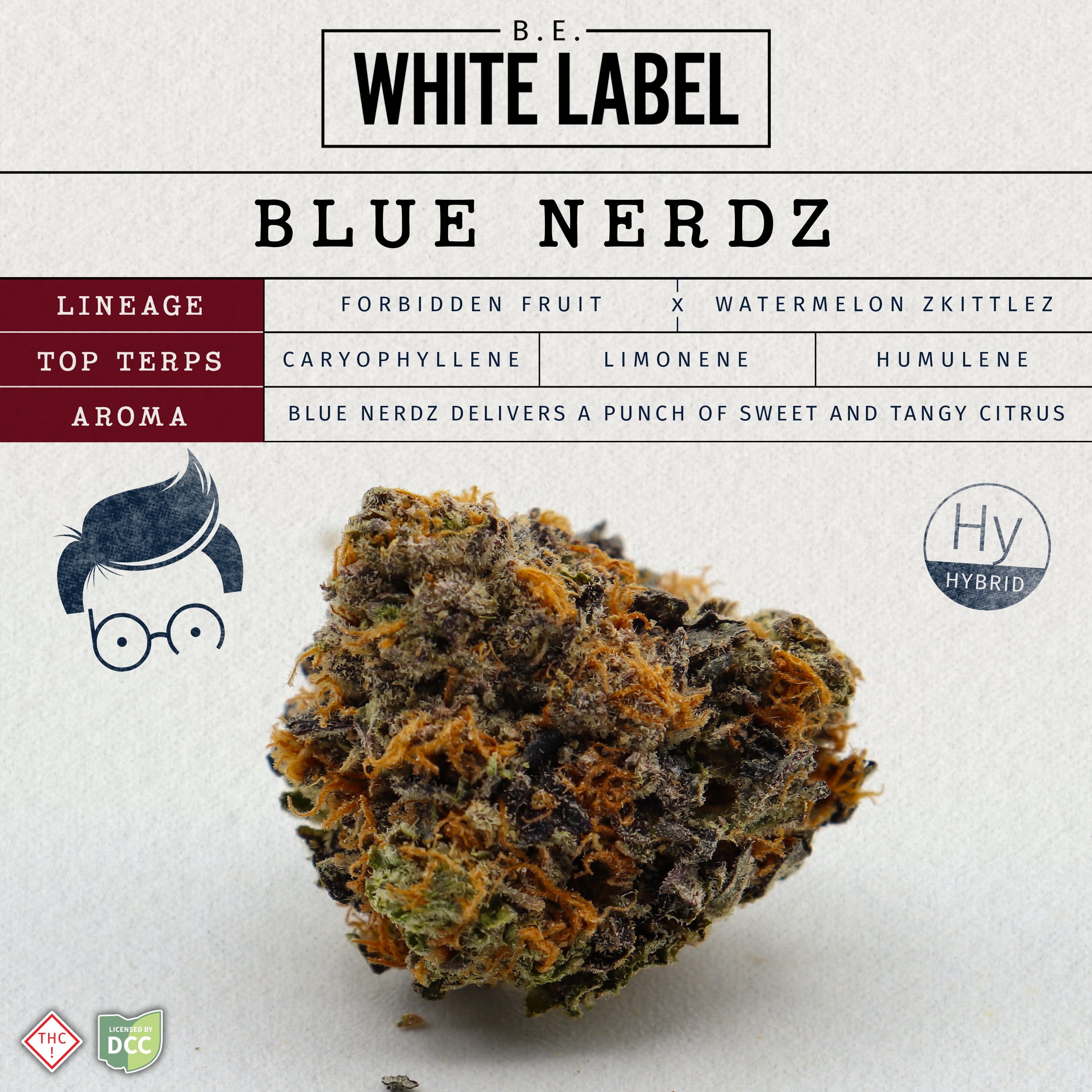 Blue Nerdz - 2.83g Whole Buds - Hybrid