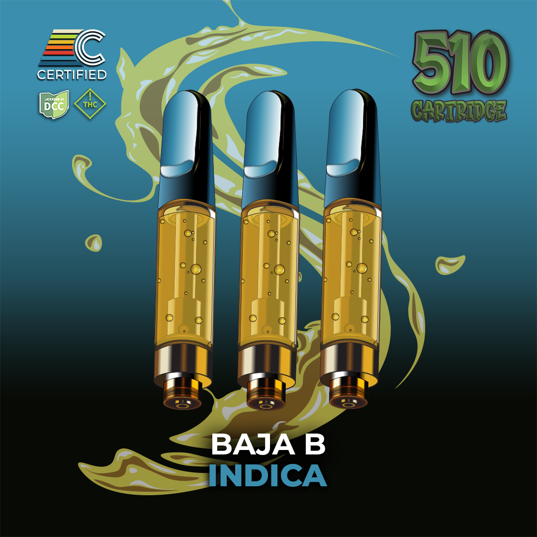 Baja B