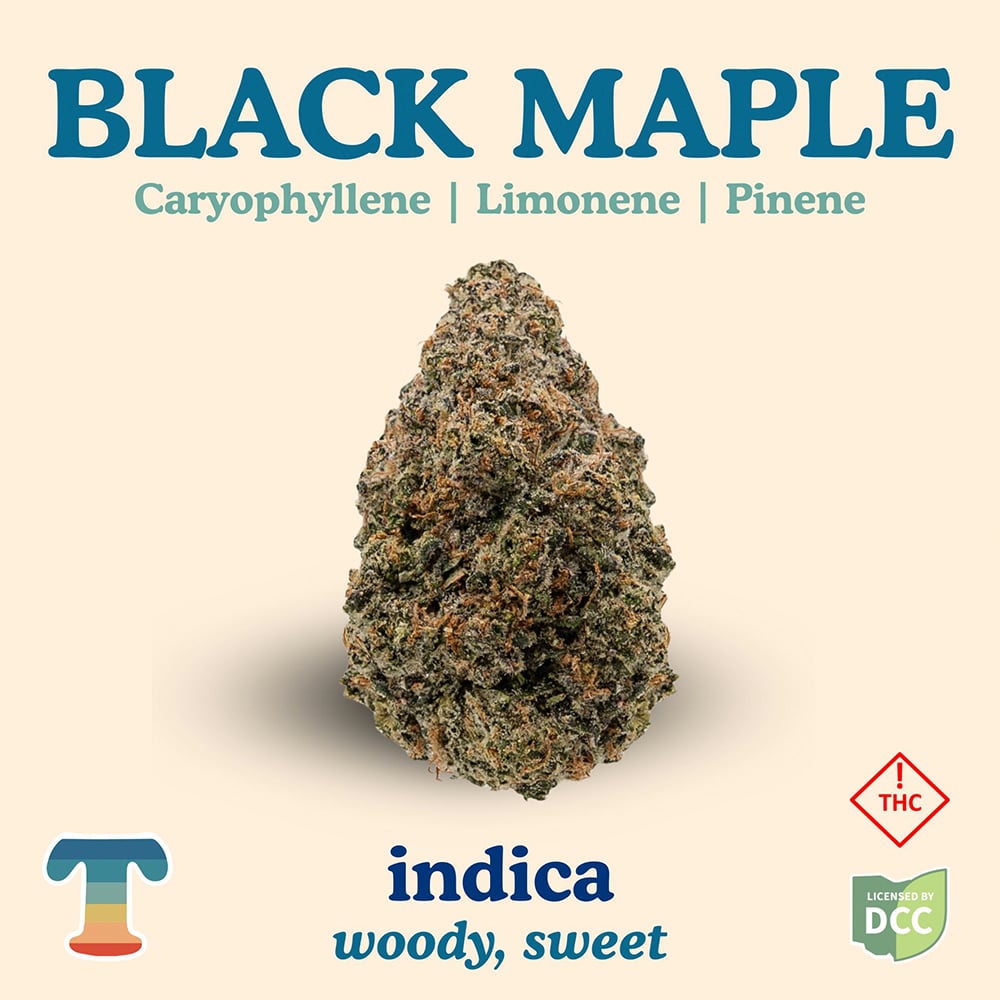 Black Maple