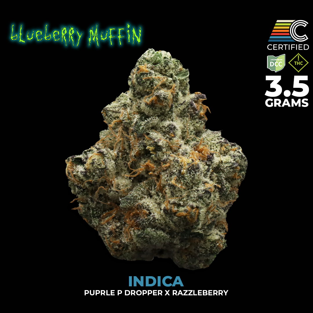 Blueberry Muffin #3