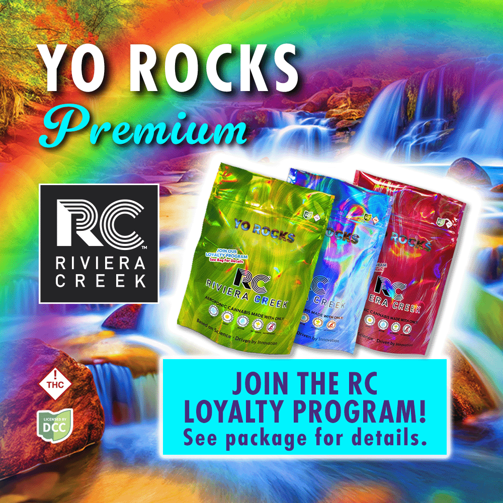Yo Rocks