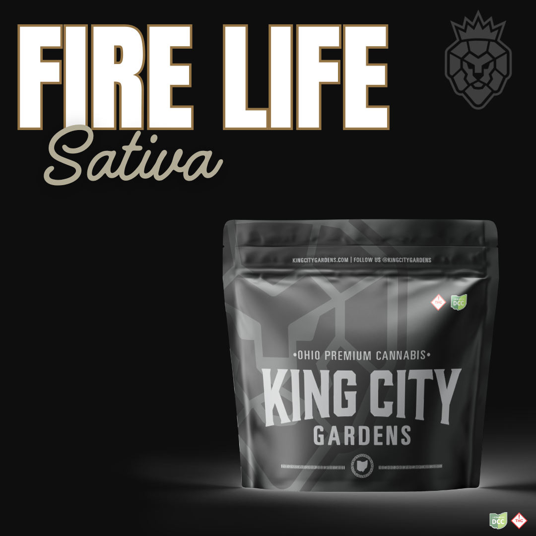 Fire Life