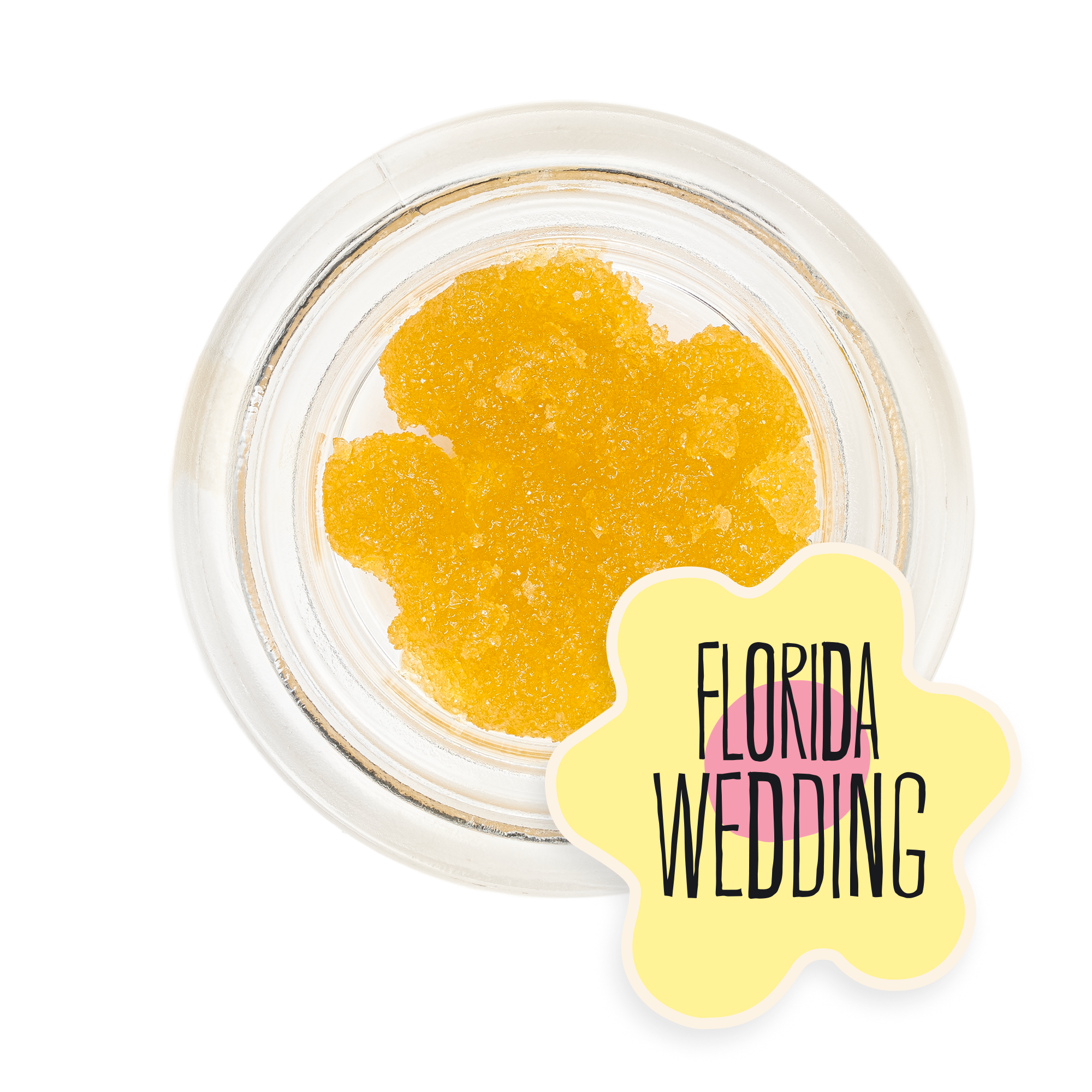Florida Wedding