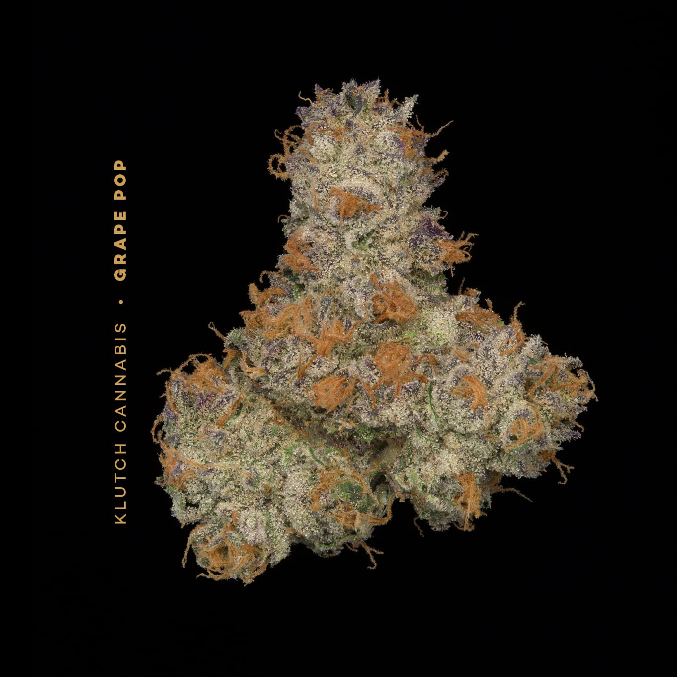 Grape Pop