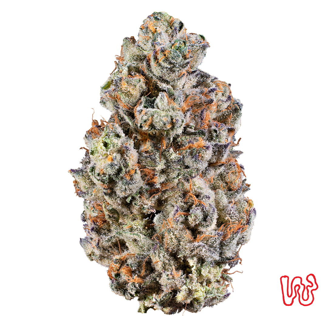 Lemon Cherry Sherbert
