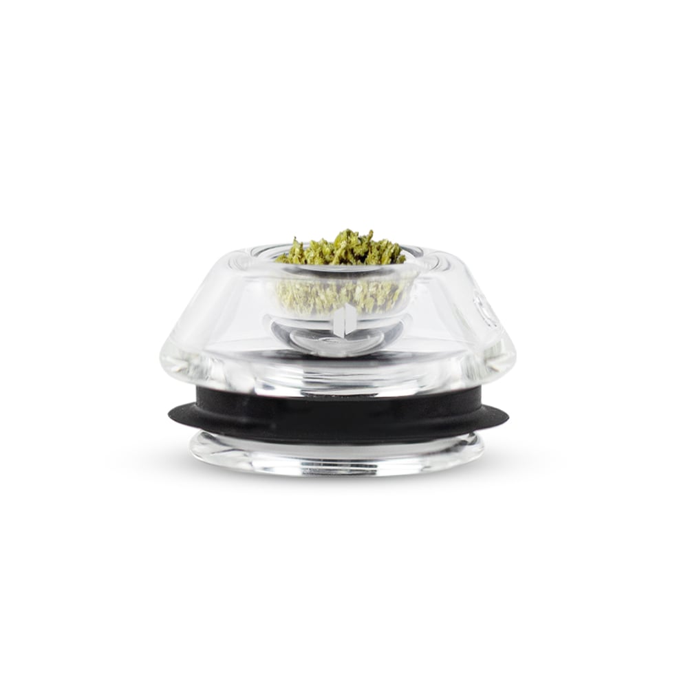 Proxy Flower Bowl