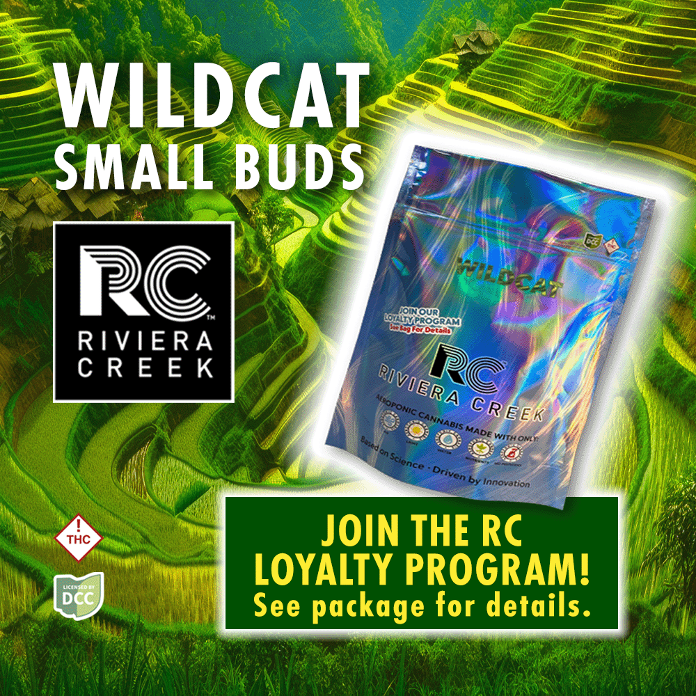 Wild Cat