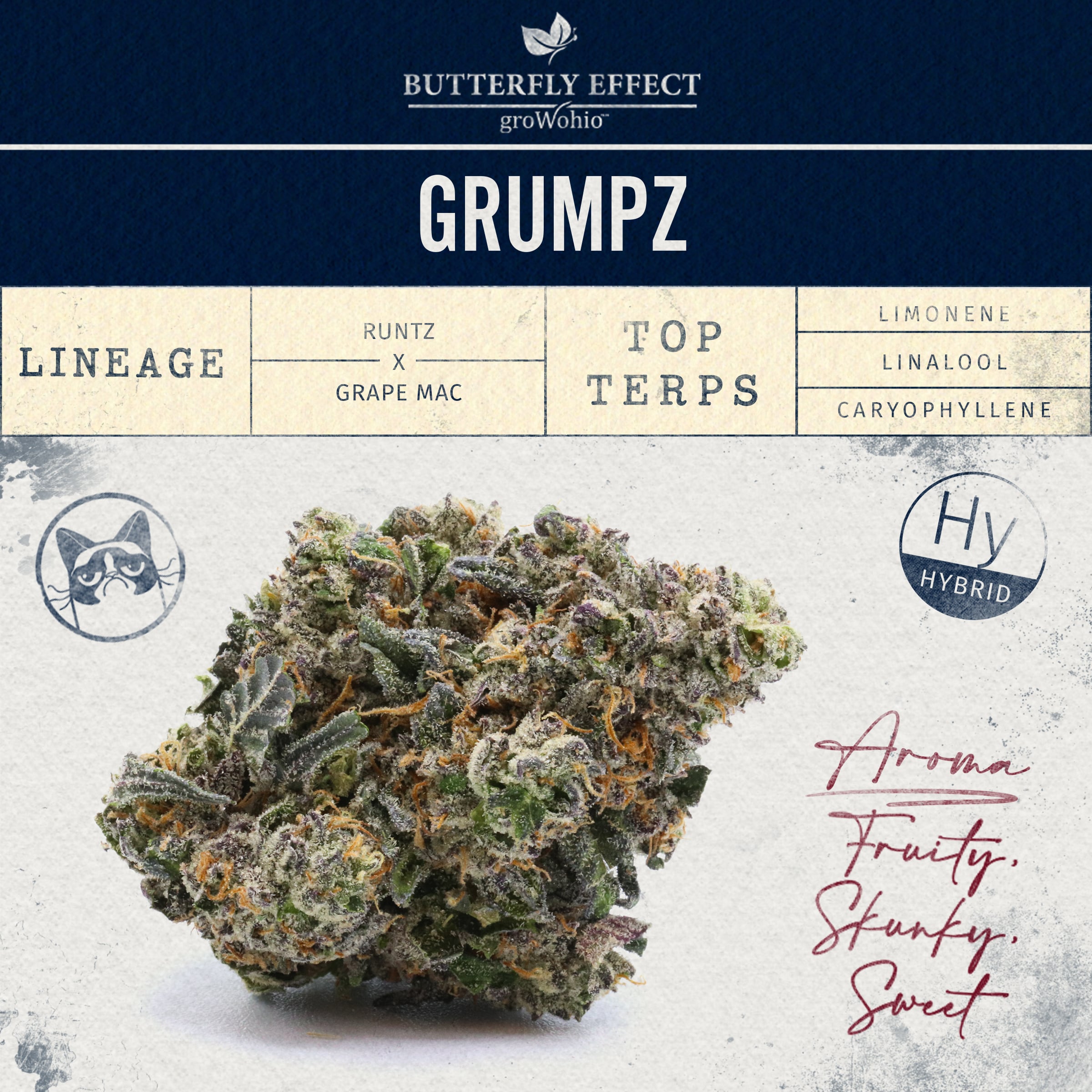 Grmpz