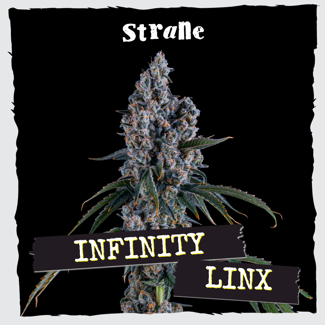 Infinity Linx
