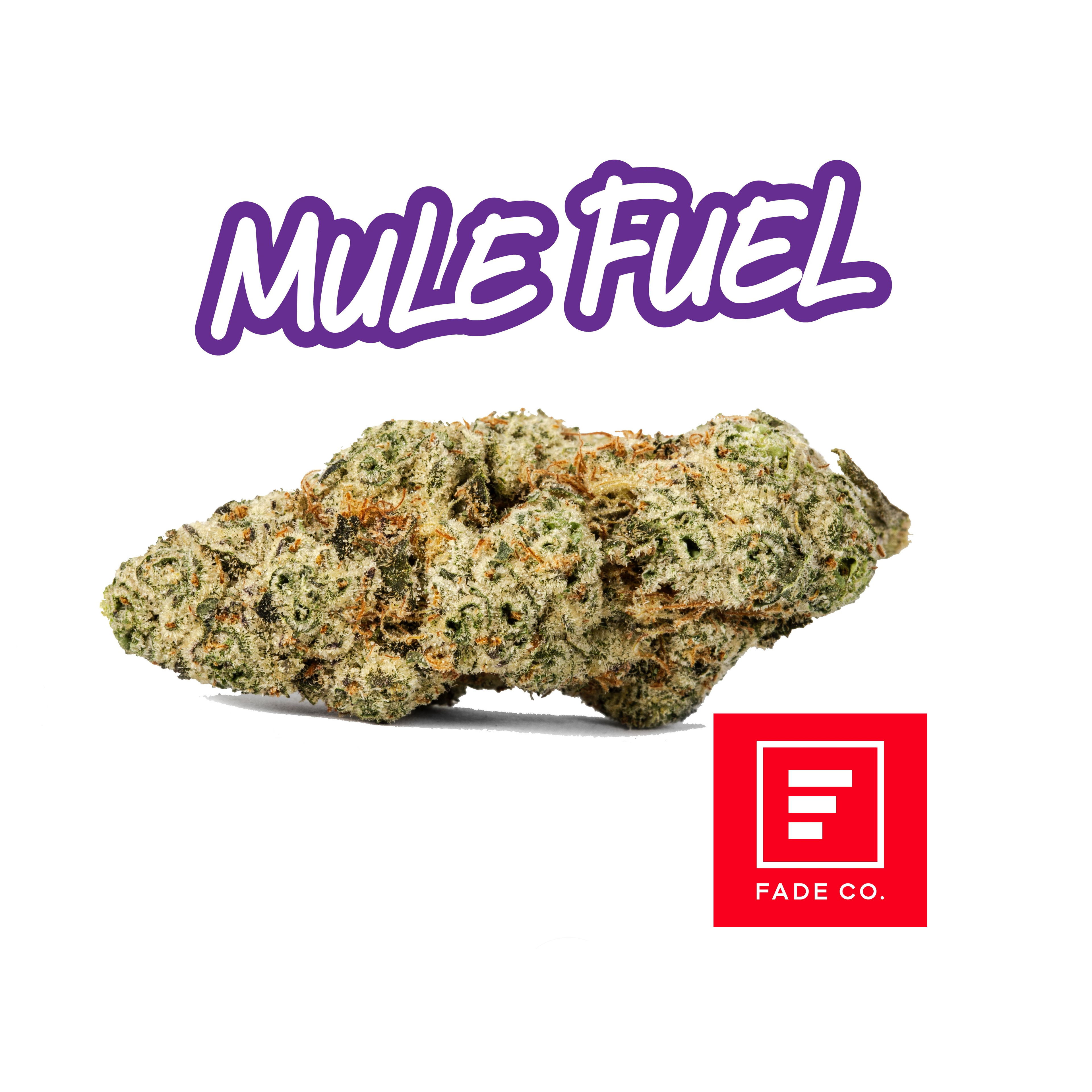 Mule Fuel