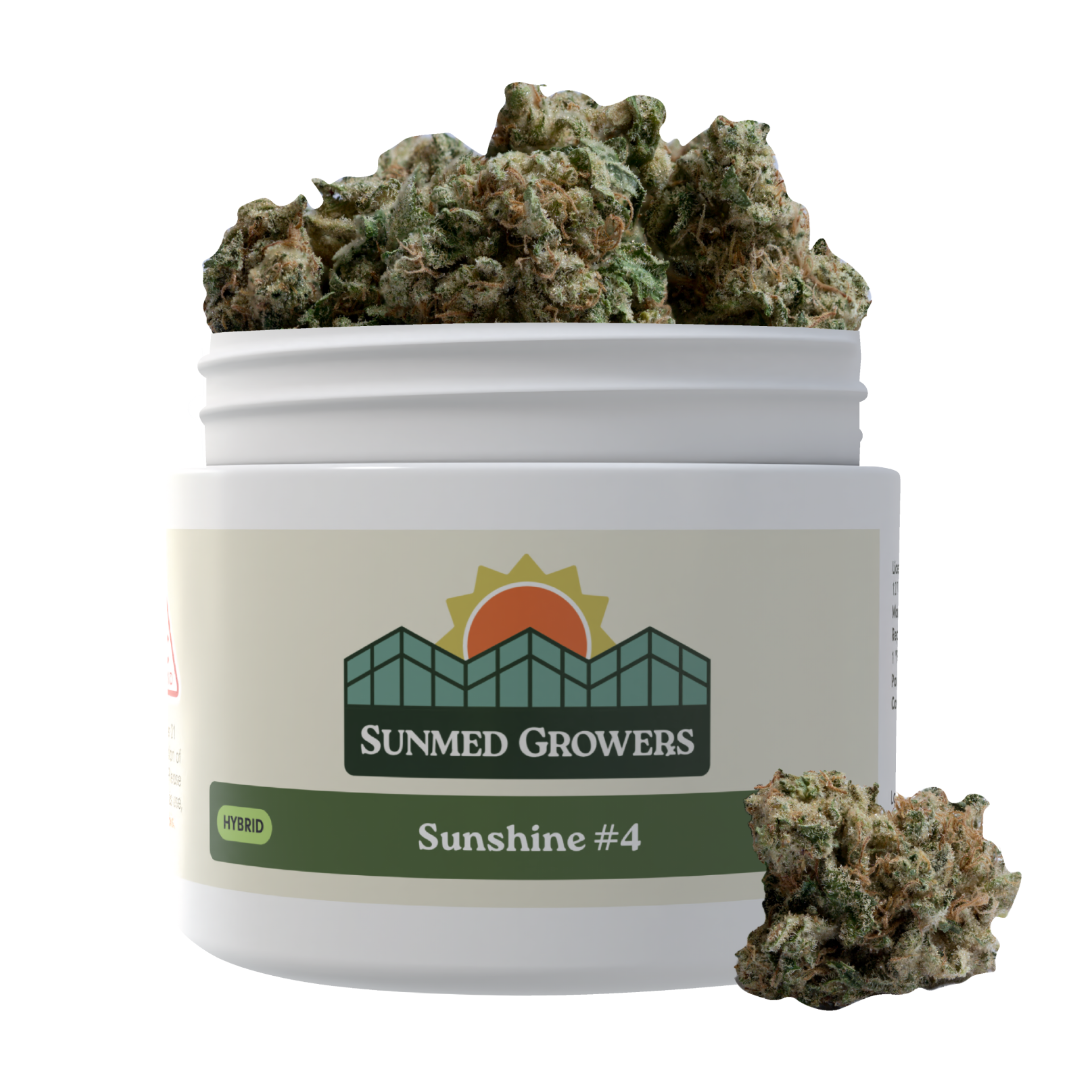 Sunshine #4