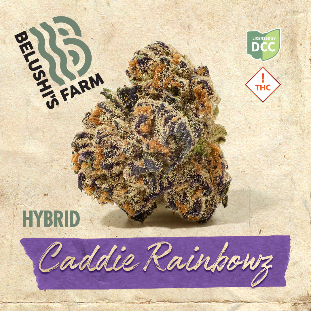 Caddie Rainbowz