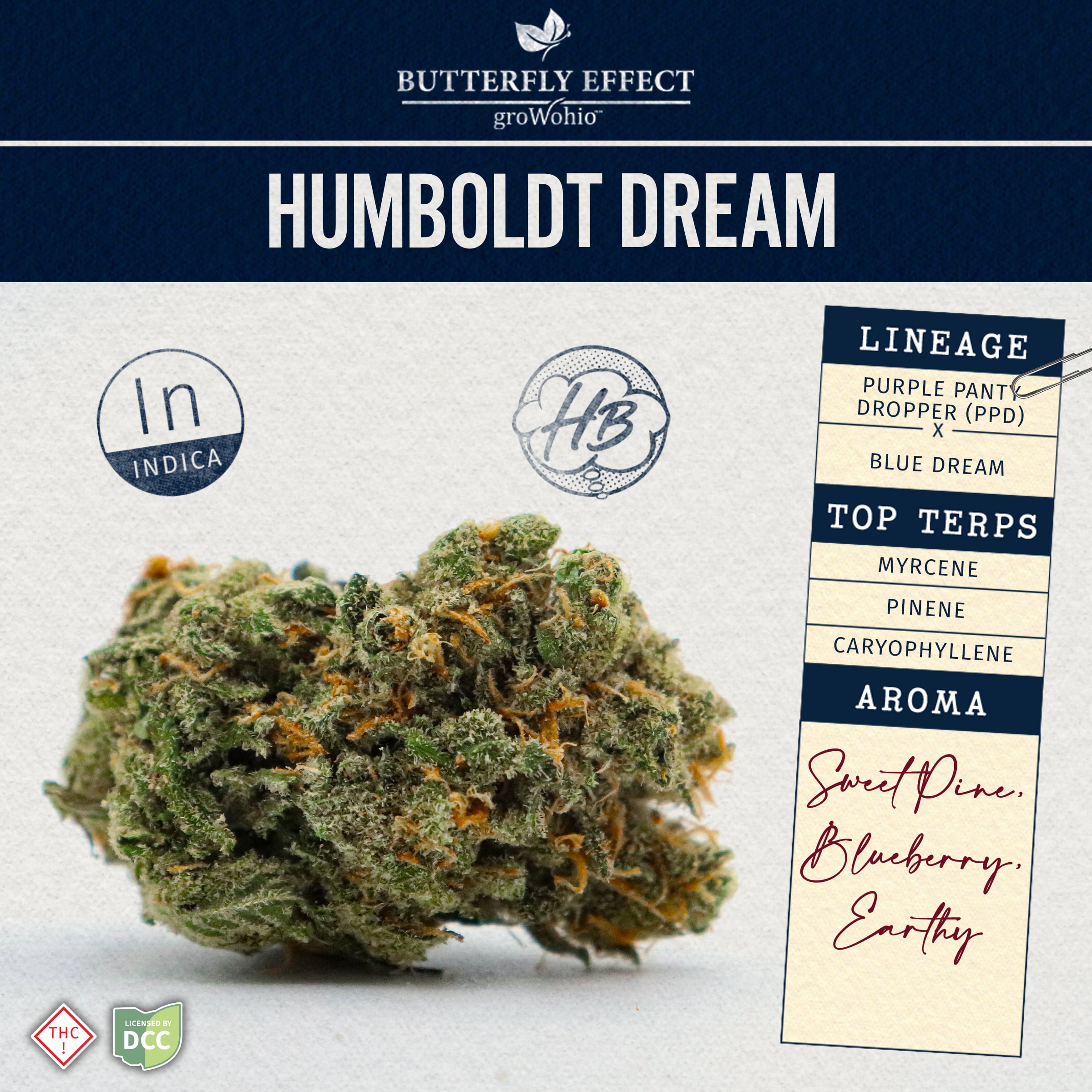Humboldt Dream - 14.15g Smalls - Indica