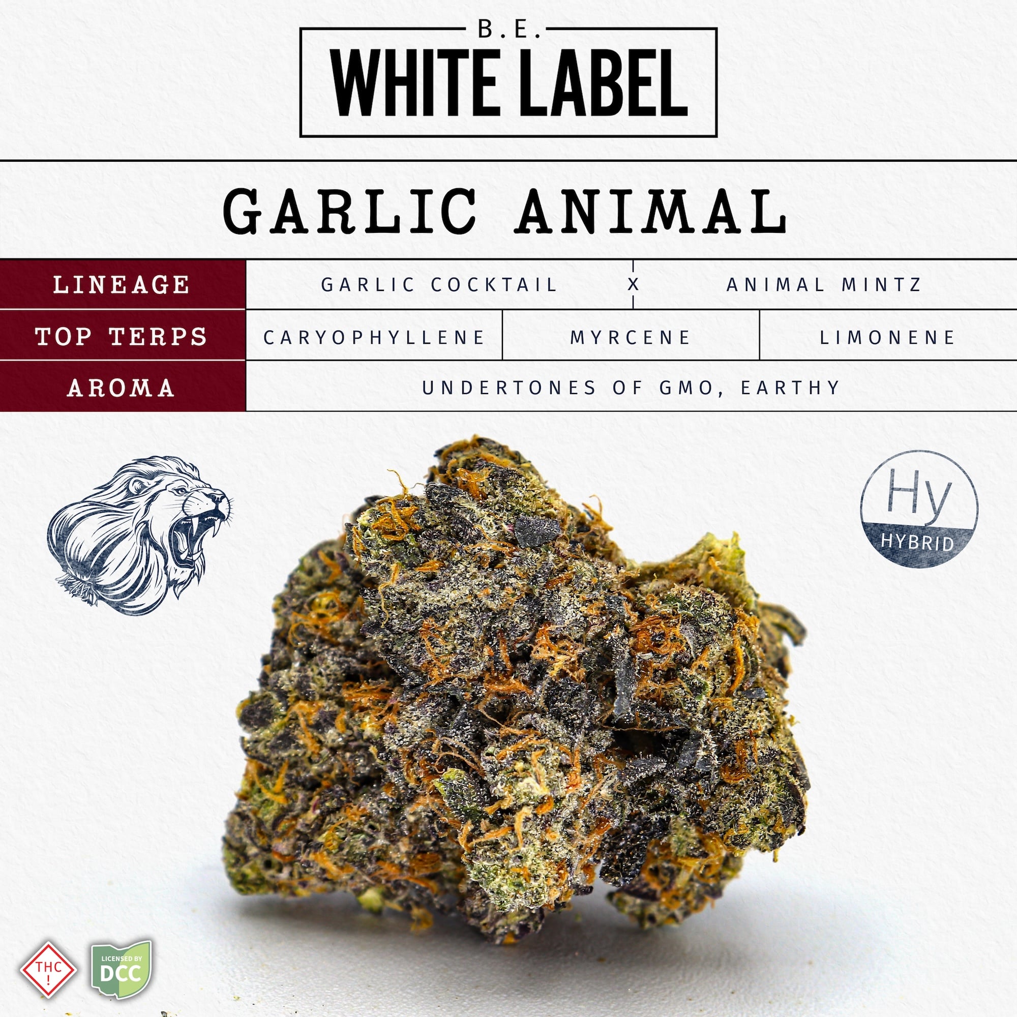 Garlic Animal