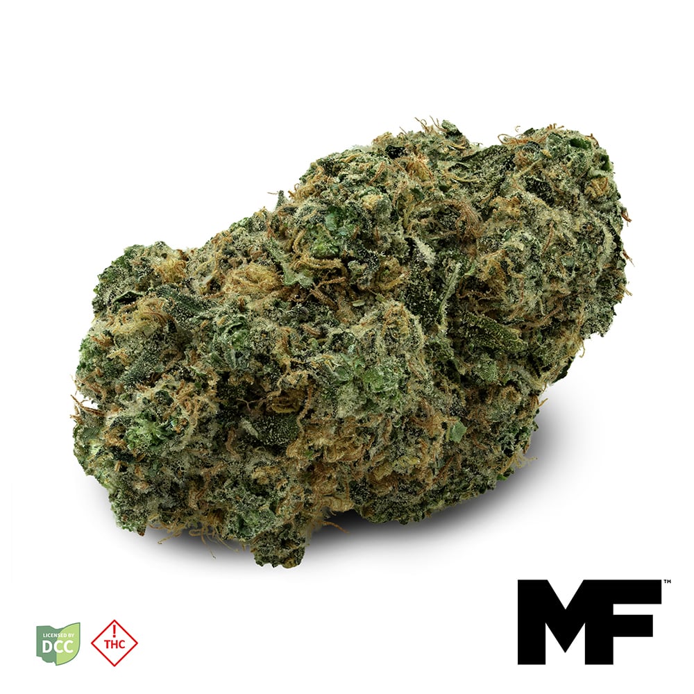 Gelato 17