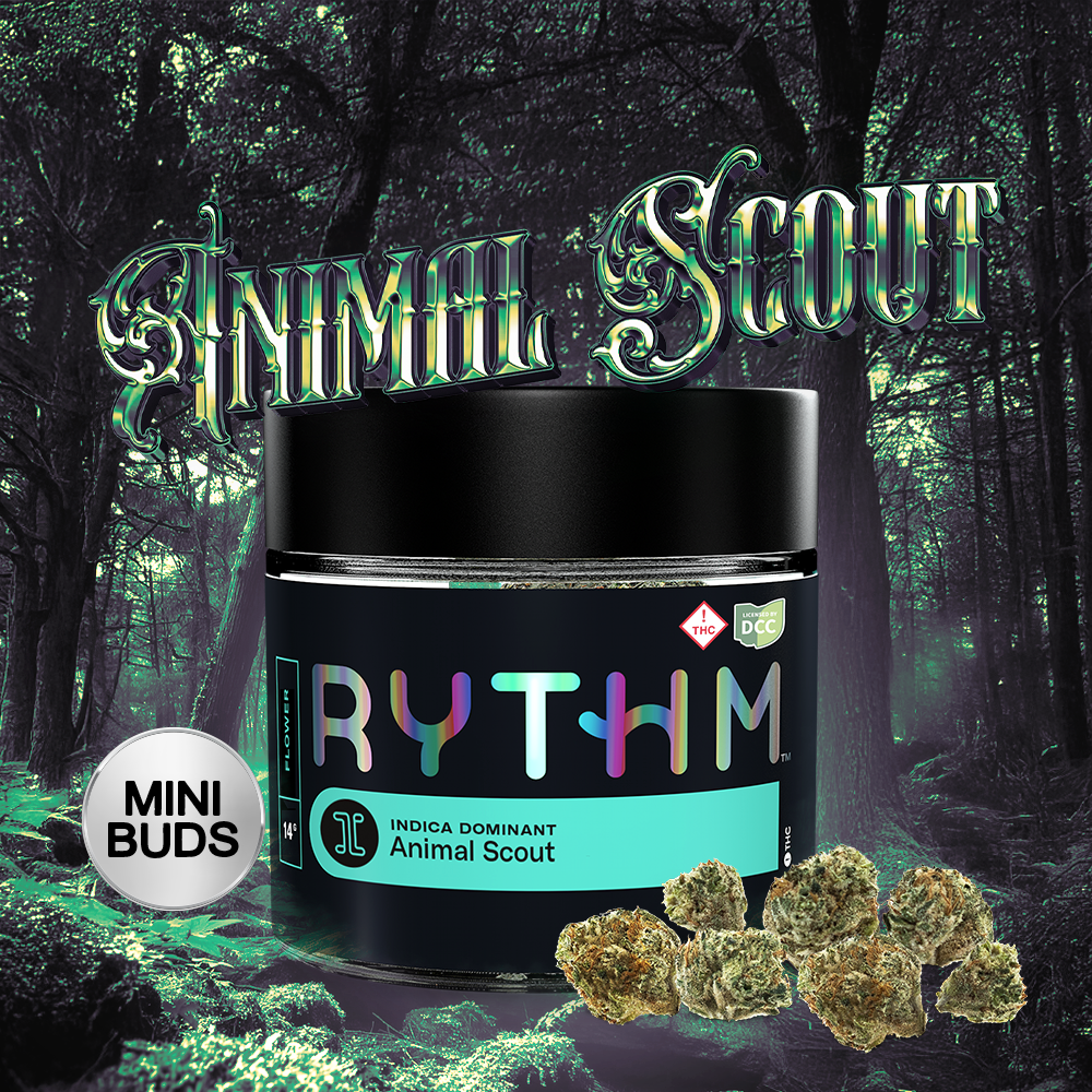 Animal Scout