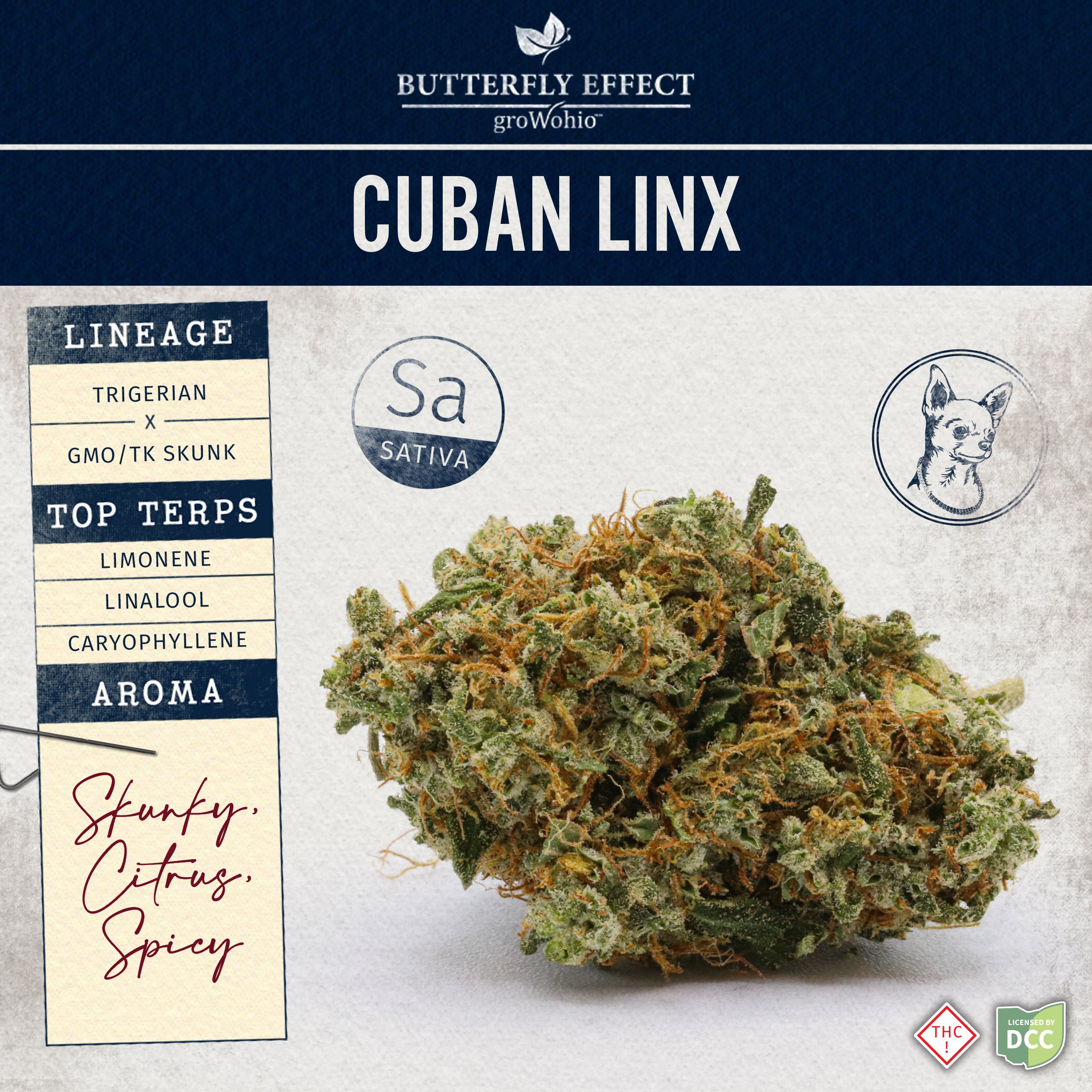 Cuban Linx - 14.15g Whole Buds - Sativa