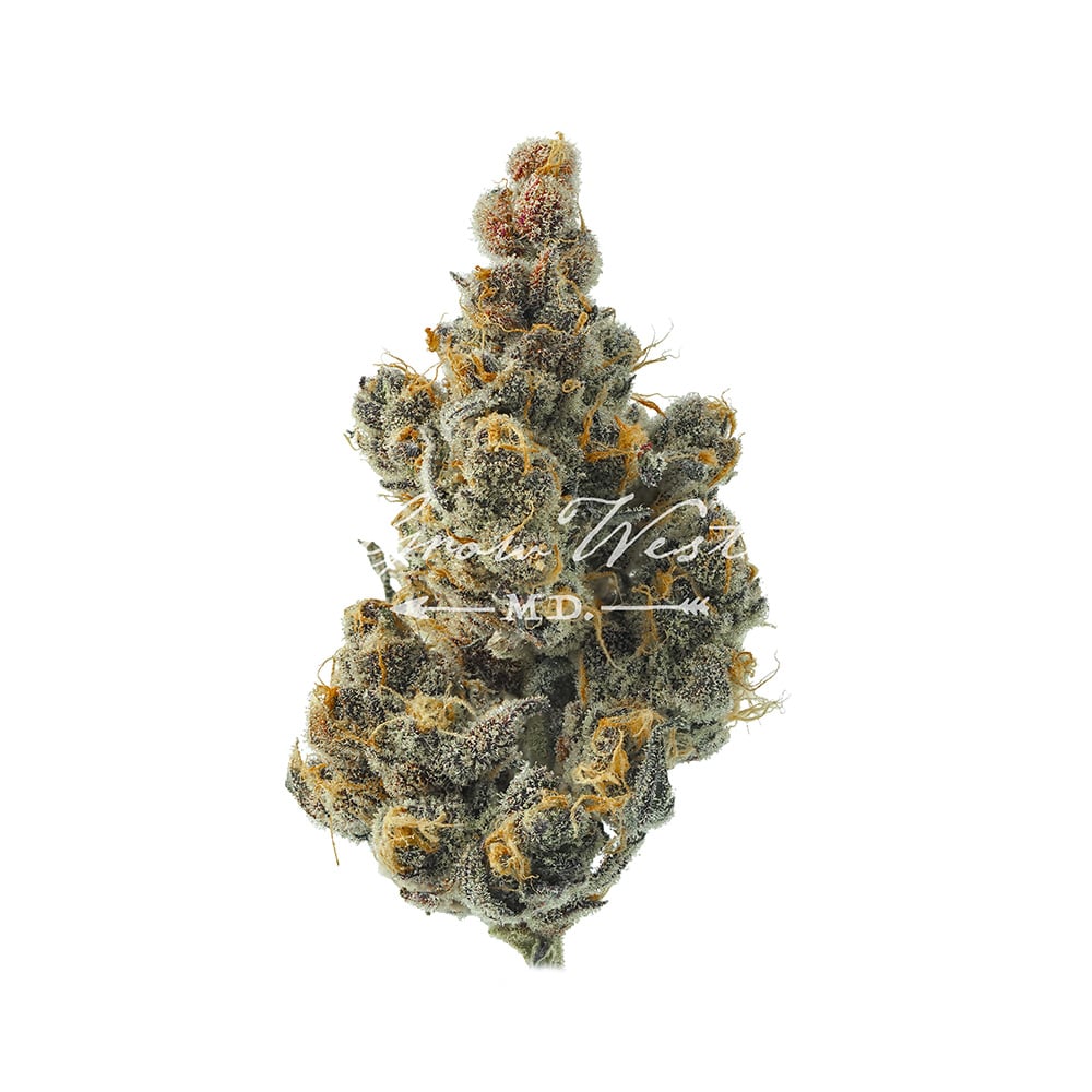 Jack Herer