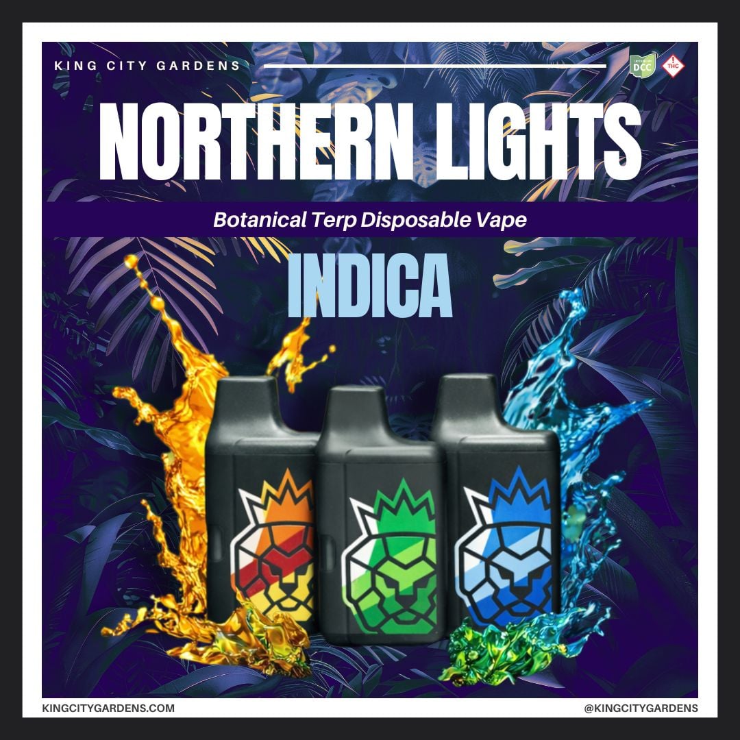 Northern Lights
