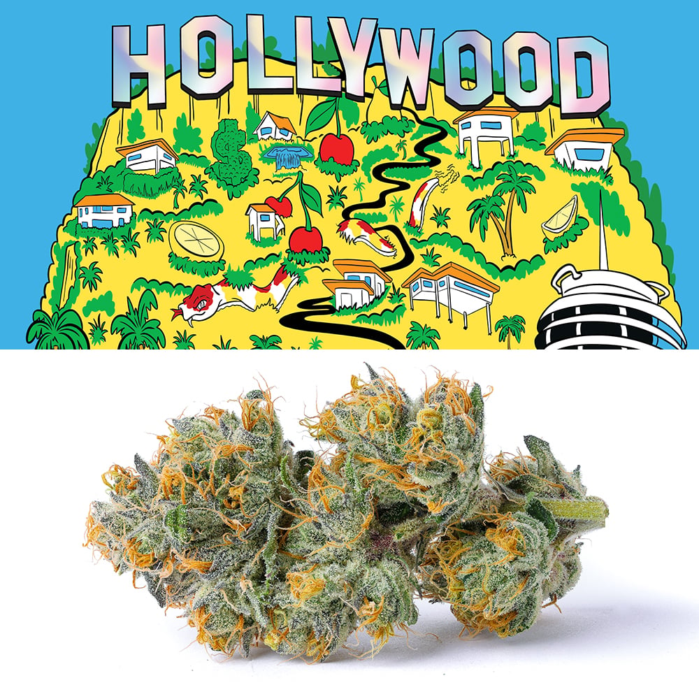 Hollywood