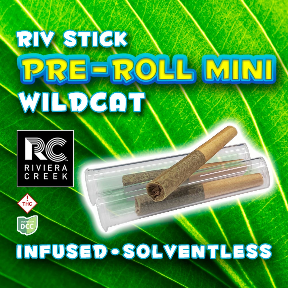 Wild Cat