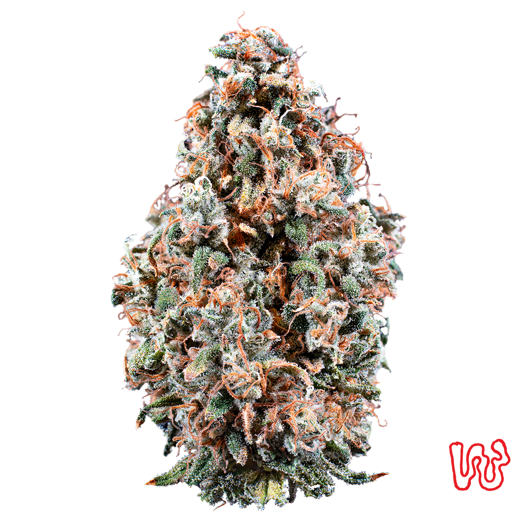 Cherry Jungle