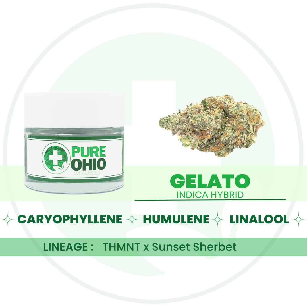 Gelato