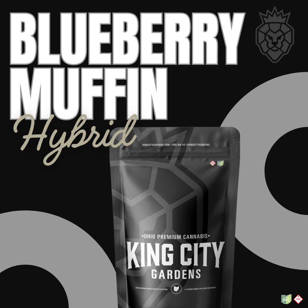 Blueberry Muffin